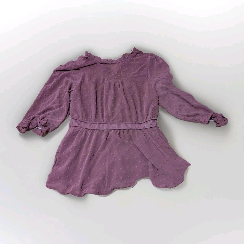 Monteau Swiss Dot‎ Chiffon Long Sleeve Dusty Berry Top Size XL
